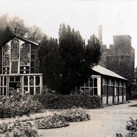 The gardens at Rye House. Postcard but there are no publisher marks. According to research these pictures date to around 1904.