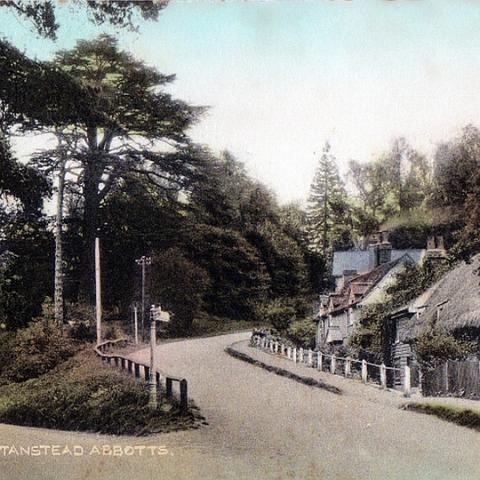 Cats Hill, Postcard by the The Post Office Stanstead Abbotts. date unknown.