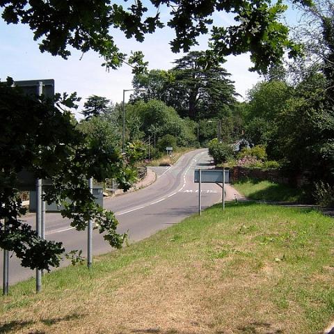 Cats Hill, 2005.