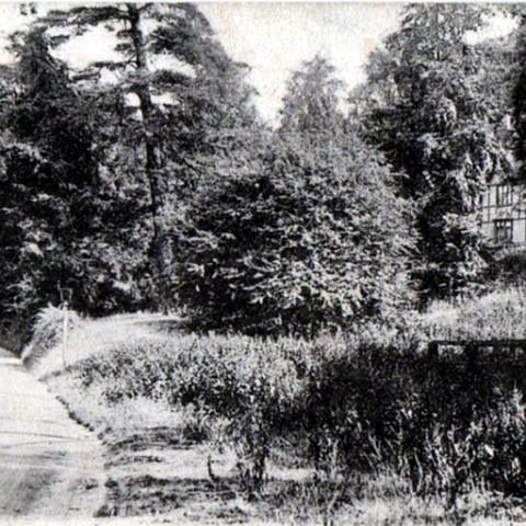 Hunsdon Road, Stanstead Abbotts. Postcard "The Hatfield Series". Postal date Sep 1906.