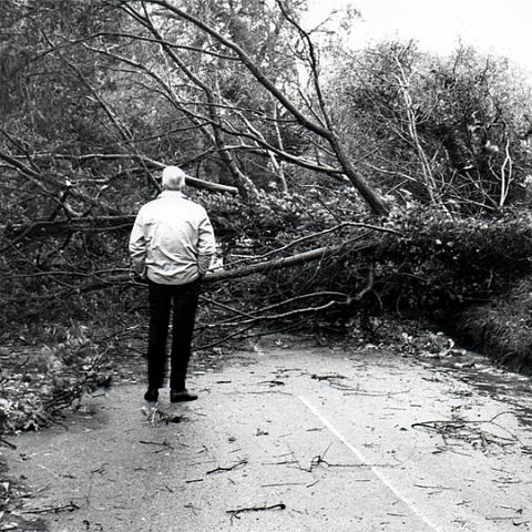 The Great Storm 1987. Damge on the Hunsdon Road. Photo 1987.