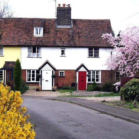 Cottages Roydon Road. The cottages have been here for years but the access road is relatively modern. I don't know where the original access was but I have a recollection that it was through the Queens Head Car park. Any information welcome. Photo 2006.