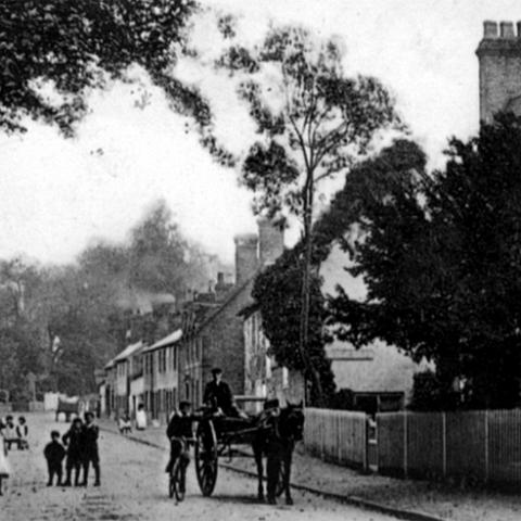 Roydon Road looking South. Postcard part of "The Hatfield Series". Postal date may 1905.
