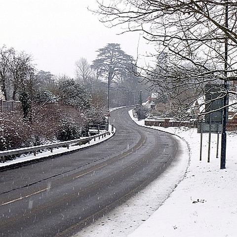 Cats Hill, January 2013