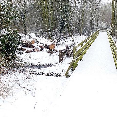 Regional Park. January 2013