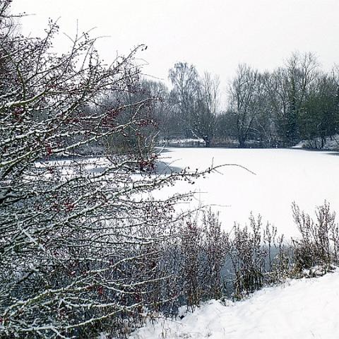 Regional Park, January 2013